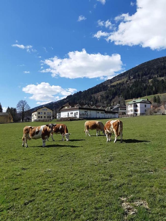Gaestehaus Post Aigner Greifenburg Luaran gambar